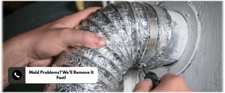 Air Duct Mold Removal in Los Angeles