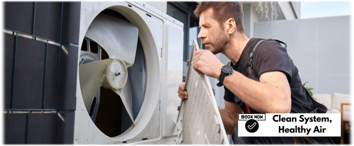 HVAC Mold Removal Los Angeles