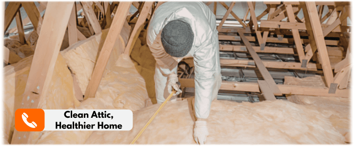 Attic Cleaning Los Angeles